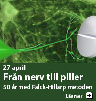Falck-Hillarpsymposium